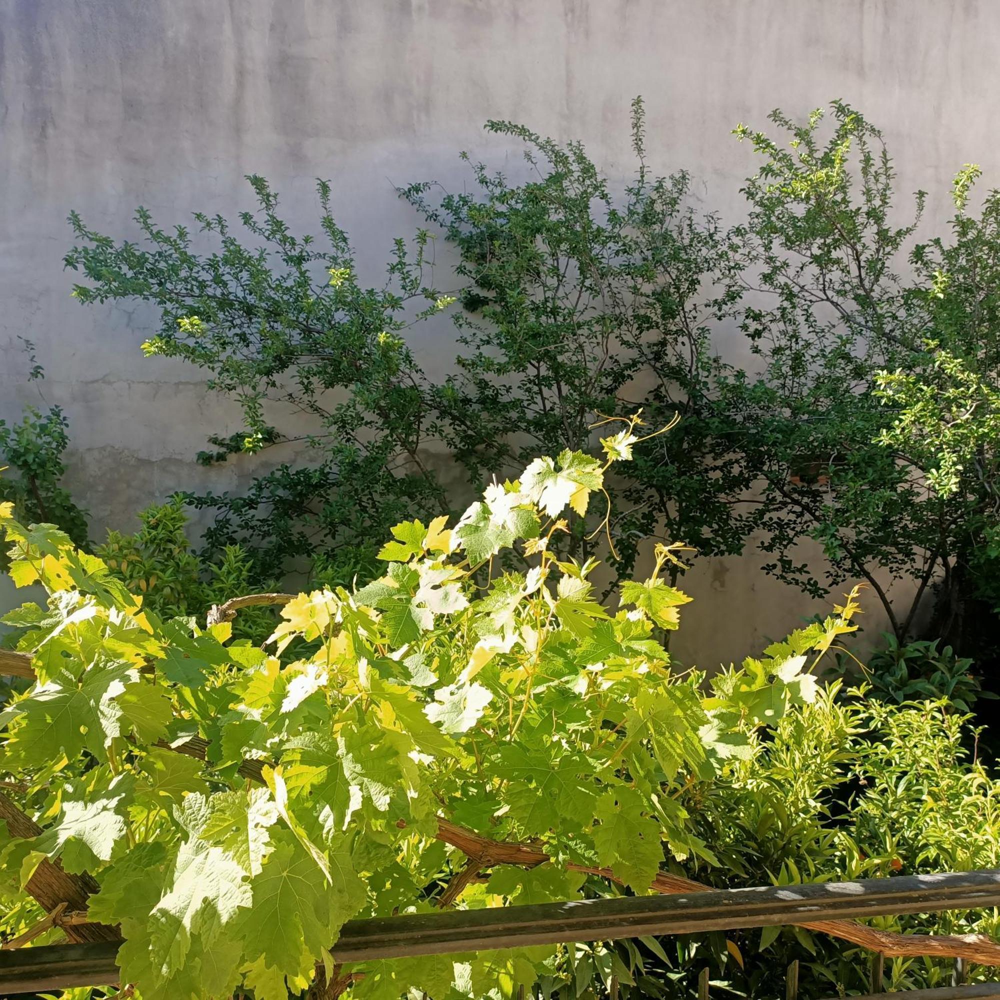 Apartament Janas House Bari Sardo Zewnętrze zdjęcie
